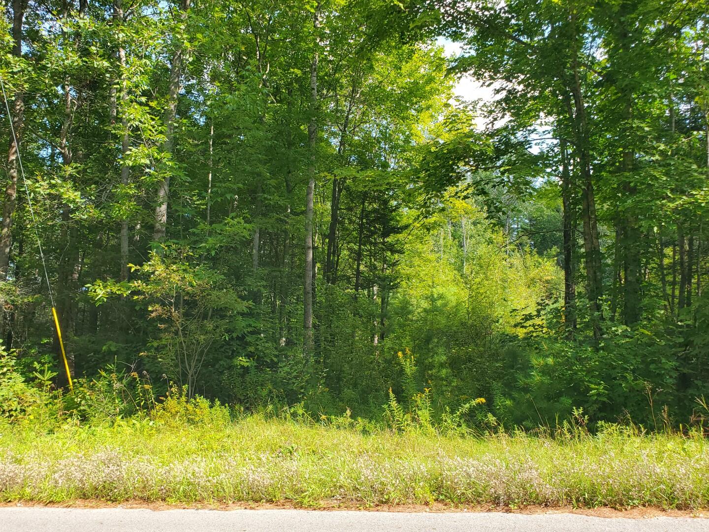 125 Green Valley Road Stockton Springs, ME 04981 - Photo 6 of 22 GV 5 - 20240824_0015 (Large)