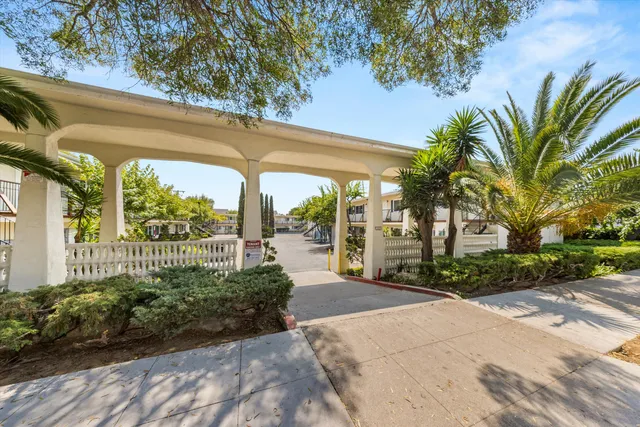 a view of a garden with plants