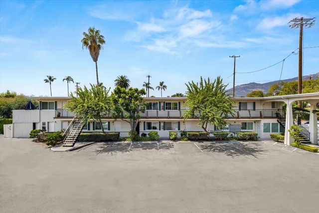 a row of palm trees and sign on the side of the road