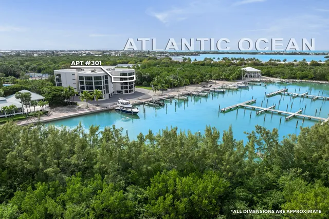 a view of a park with benches and lake view