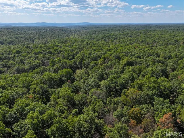 $727,900 | 0 Delbridge Road, Potosi, MO 63664