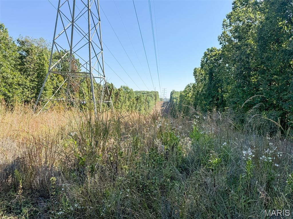 0 Delbridge Road Potosi, MO 63664 - Photo 11 of 30