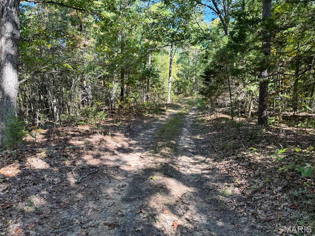 0 Delbridge Road Potosi, MO 63664 - Photo 12 of 30