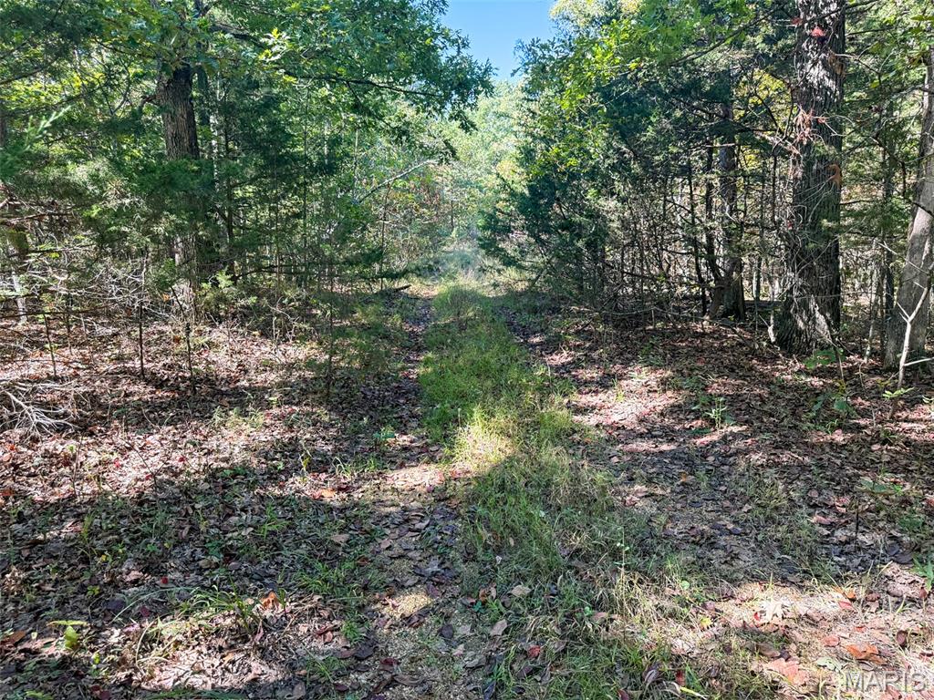 0 Delbridge Road Potosi, MO 63664 - Photo 13 of 30