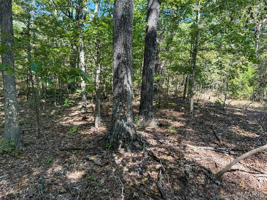 0 Delbridge Road Potosi, MO 63664 - Photo 14 of 30