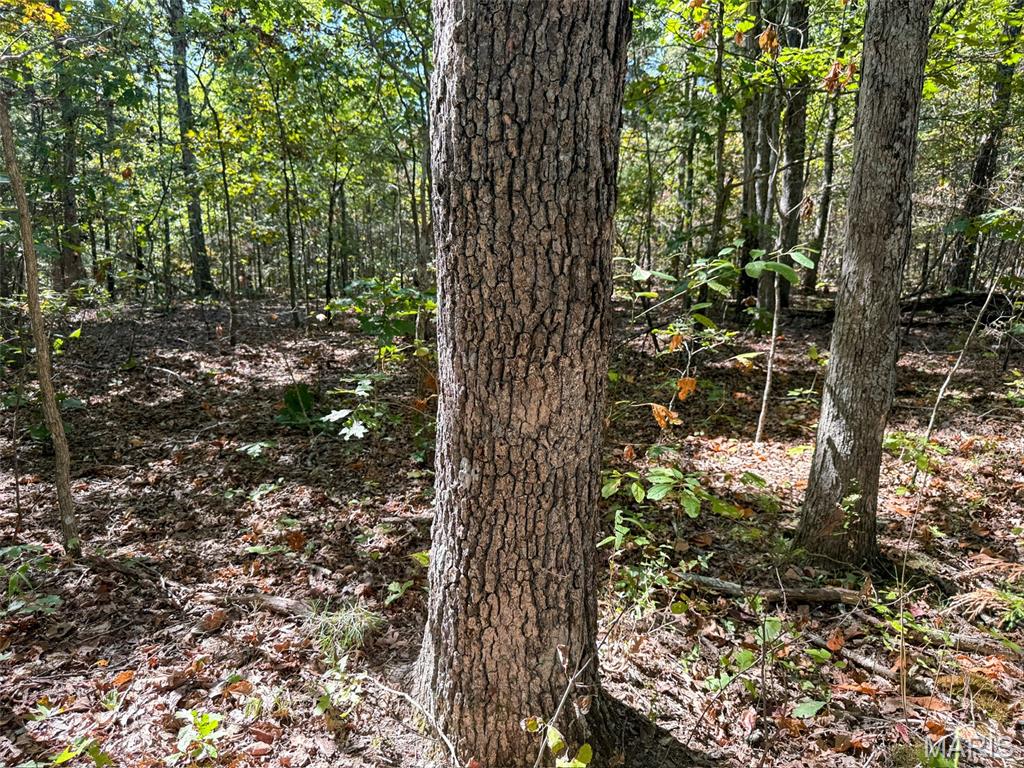 0 Delbridge Road Potosi, MO 63664 - Photo 15 of 30