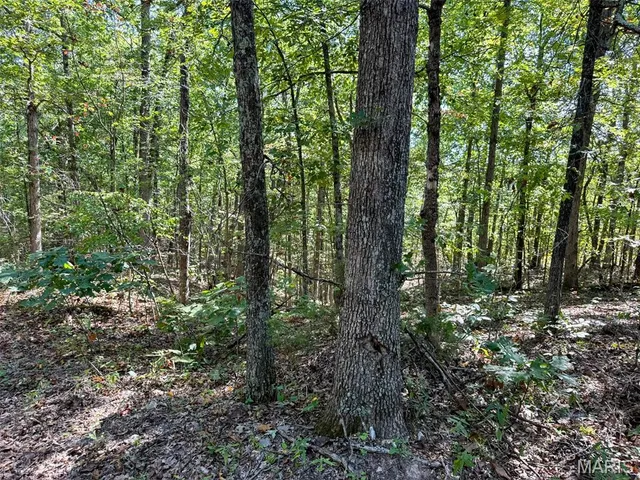 $727,900 | 0 Delbridge Road, Potosi, MO 63664