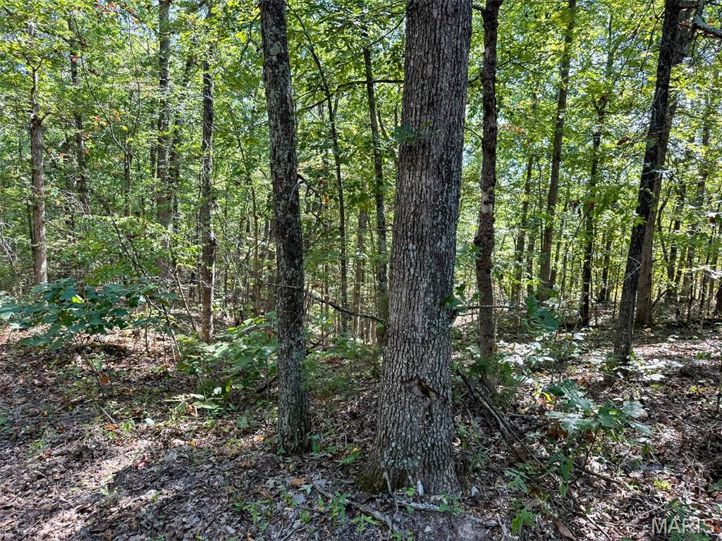 0 Delbridge Road Potosi, MO 63664 - Photo 16 of 30