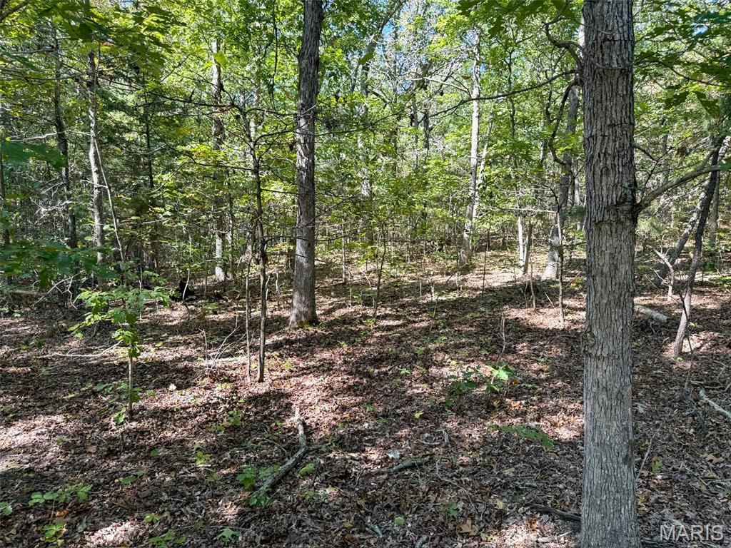 0 Delbridge Road Potosi, MO 63664 - Photo 17 of 30