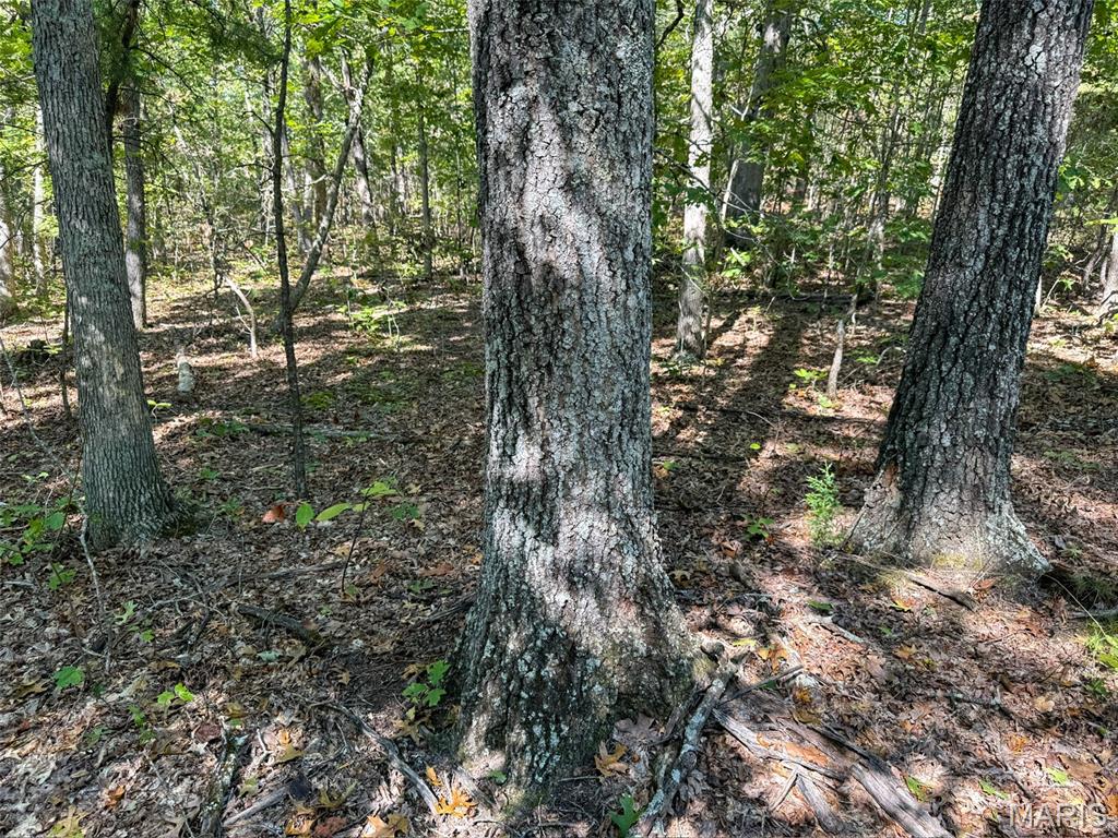 0 Delbridge Road Potosi, MO 63664 - Photo 18 of 30