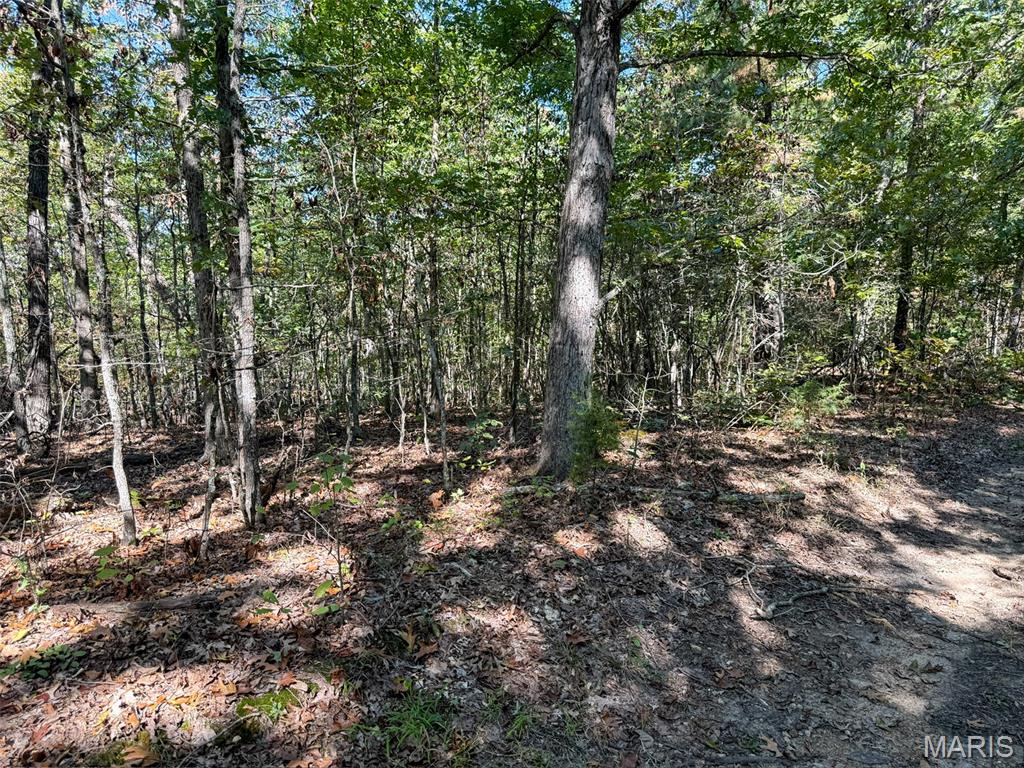 0 Delbridge Road Potosi, MO 63664 - Photo 19 of 30