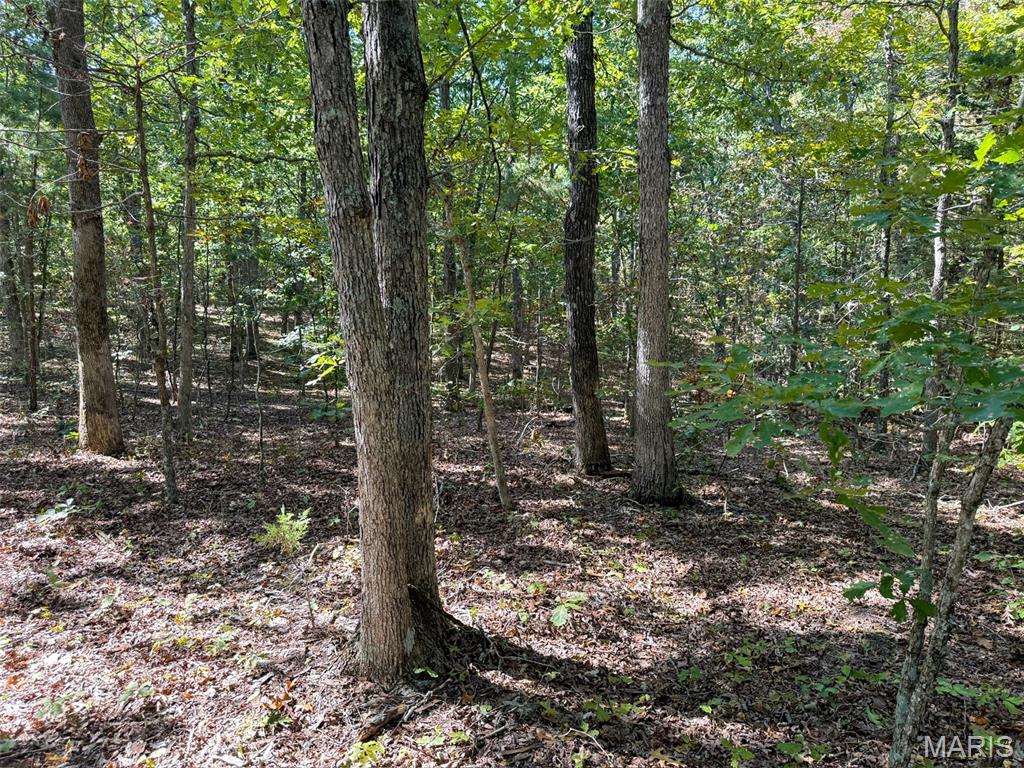 0 Delbridge Road Potosi, MO 63664 - Photo 20 of 30