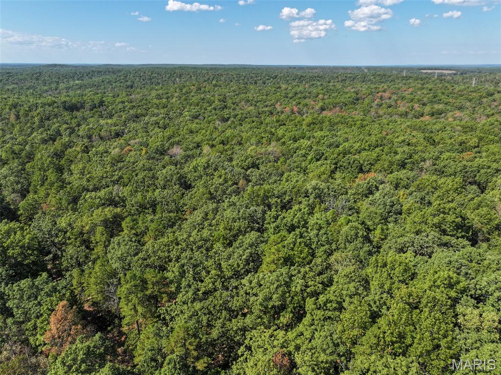 0 Delbridge Road Potosi, MO 63664 - Photo 2 of 30