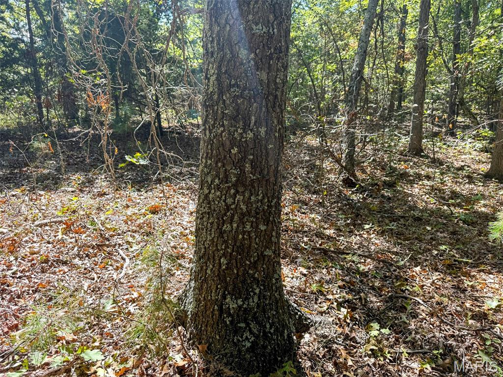 0 Delbridge Road Potosi, MO 63664 - Photo 21 of 30