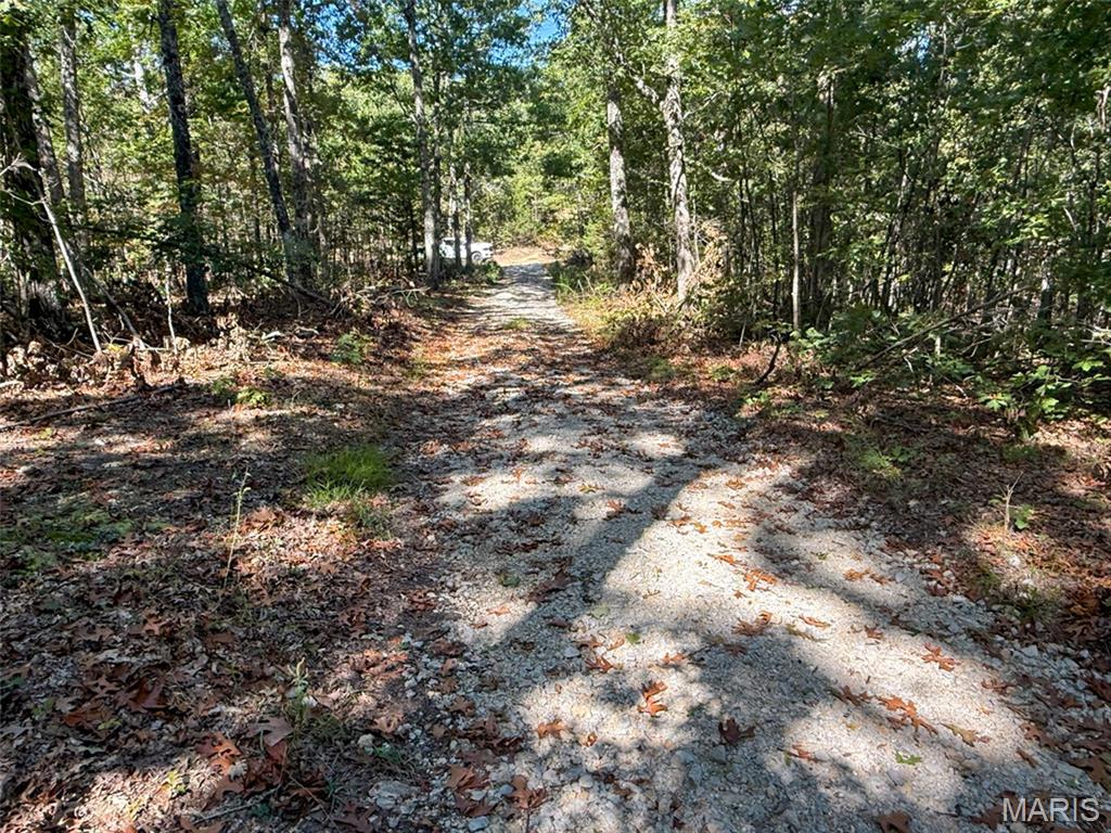 0 Delbridge Road Potosi, MO 63664 - Photo 22 of 30