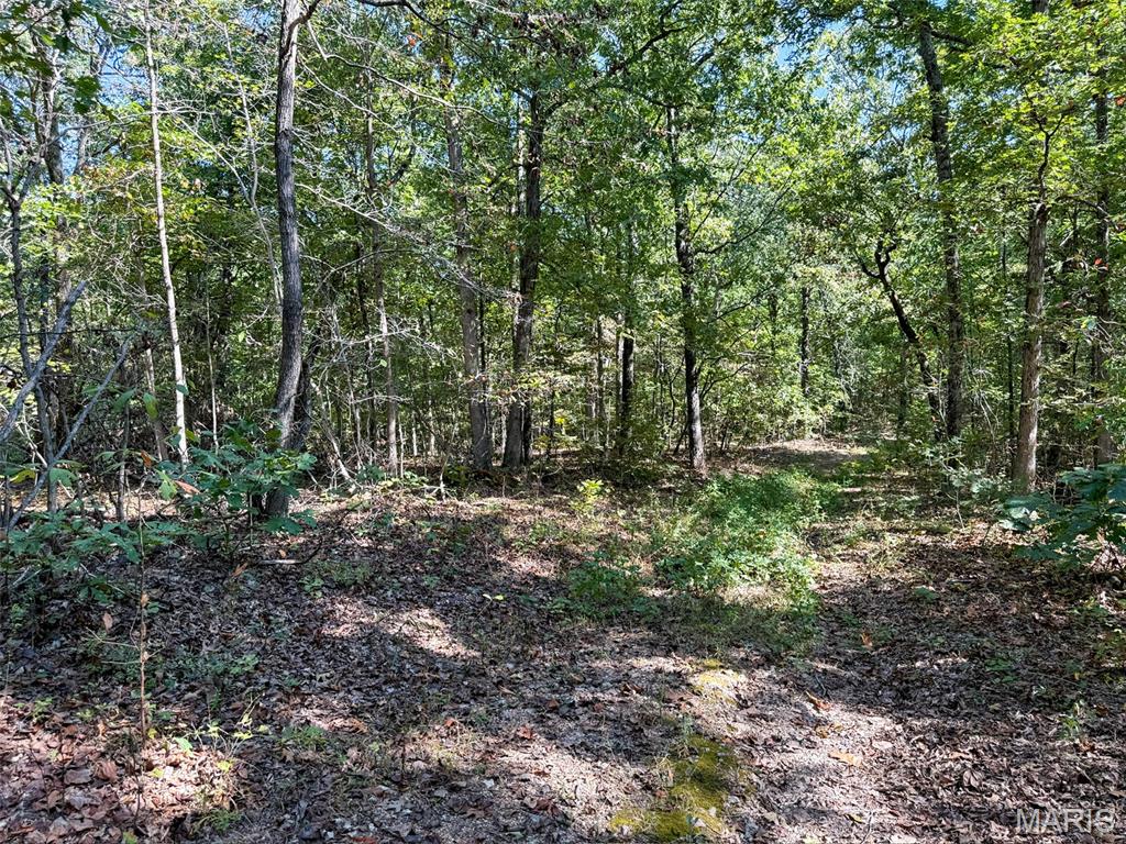 0 Delbridge Road Potosi, MO 63664 - Photo 23 of 30