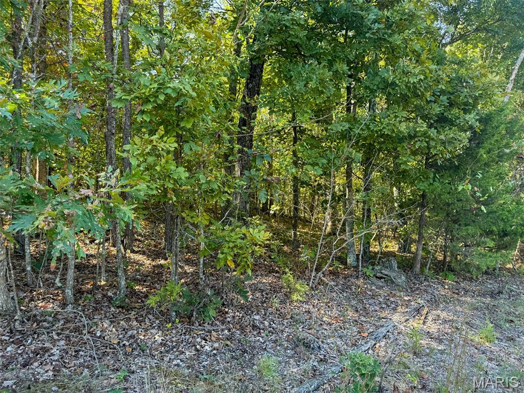 0 Delbridge Road Potosi, MO 63664 - Photo 24 of 30