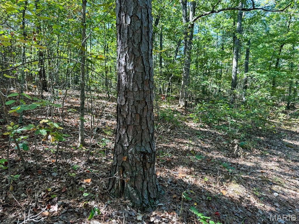 0 Delbridge Road Potosi, MO 63664 - Photo 25 of 30