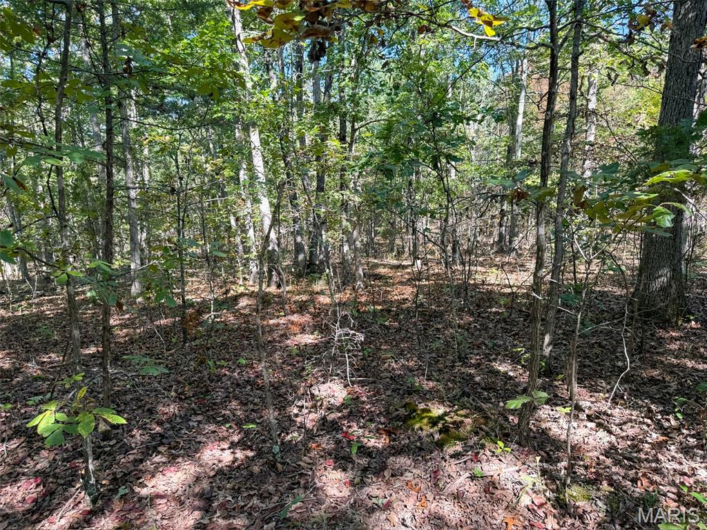 0 Delbridge Road Potosi, MO 63664 - Photo 26 of 30