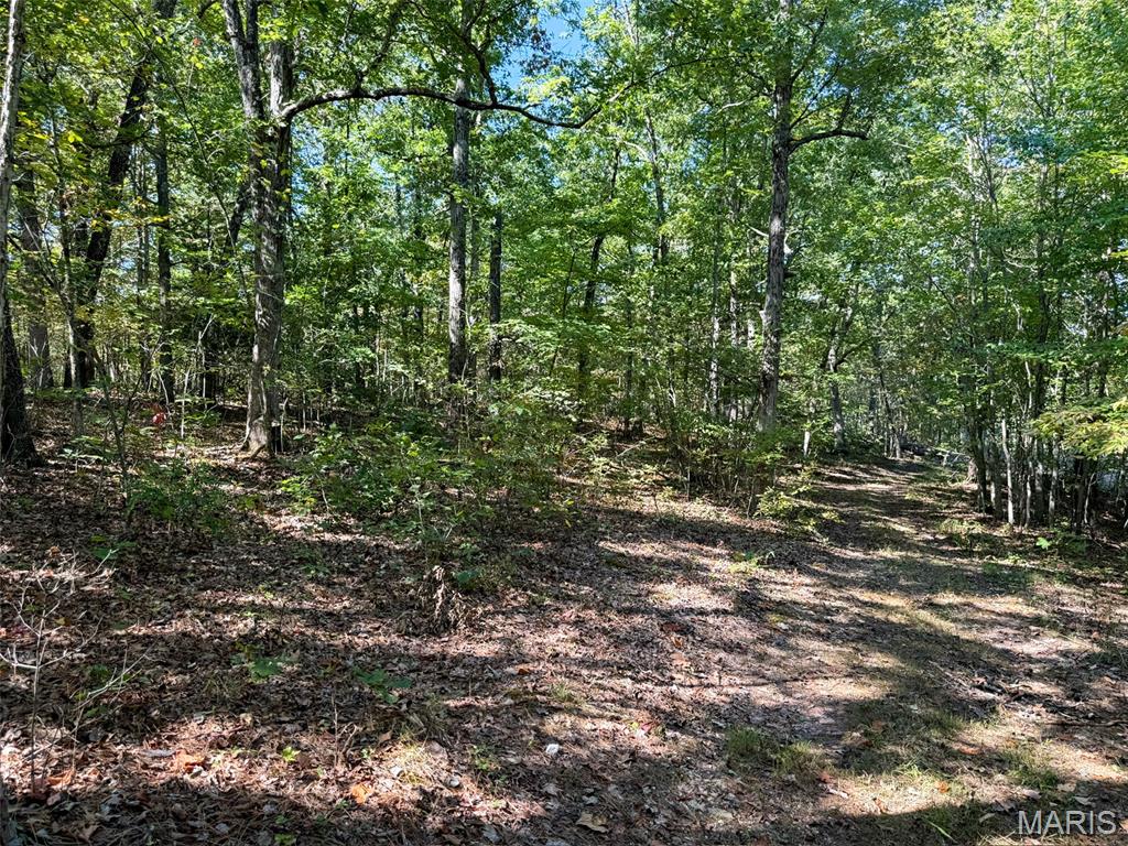 0 Delbridge Road Potosi, MO 63664 - Photo 27 of 30