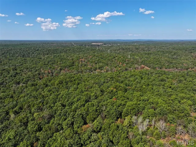 $727,900 | 0 Delbridge Road, Potosi, MO 63664