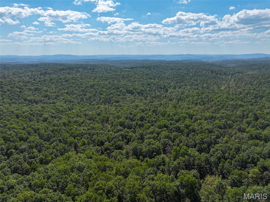 0 Delbridge Road Potosi, MO 63664 - Photo 5 of 30