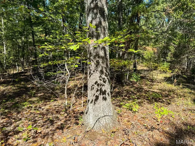 $727,900 | 0 Delbridge Road, Potosi, MO 63664