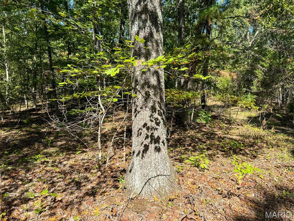 0 Delbridge Road Potosi, MO 63664 - Photo 6 of 30