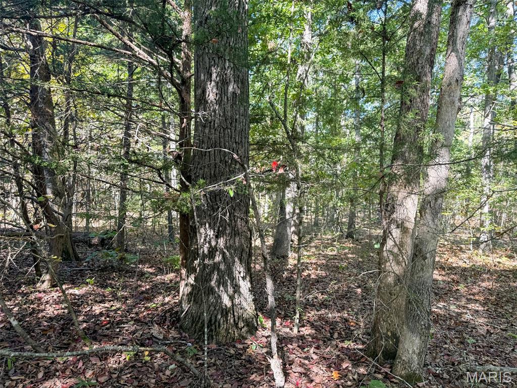 0 Delbridge Road Potosi, MO 63664 - Photo 7 of 30