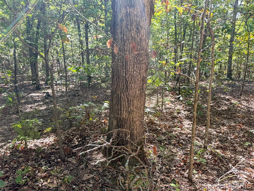 0 Delbridge Road Potosi, MO 63664 - Photo 8 of 30