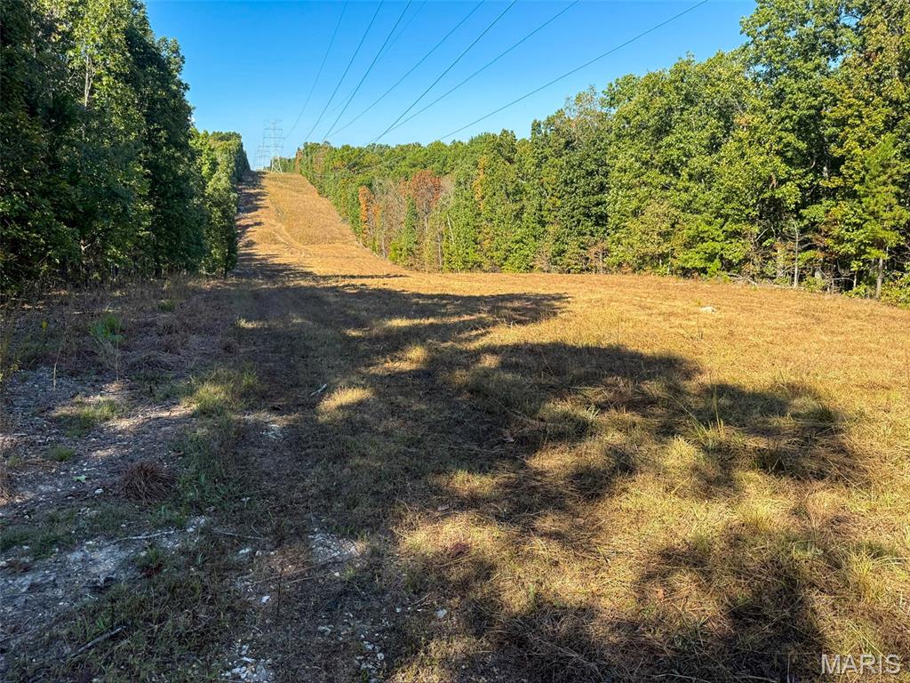 0 Delbridge Road Potosi, MO 63664 - Photo 9 of 30