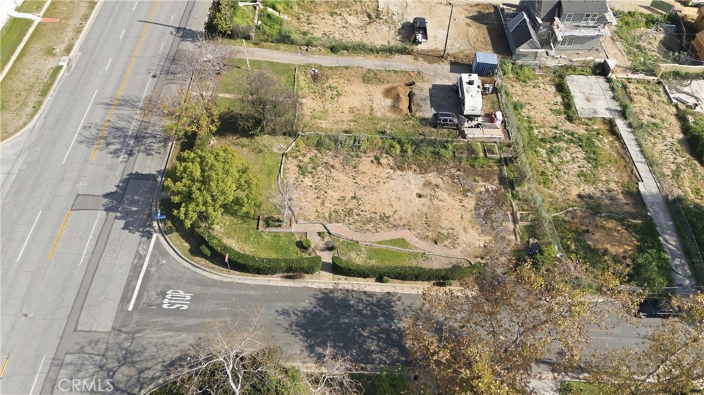2550 Catherine Road Altadena, CA 91001 - Photo 64 of 65 a view of a plant in a garden