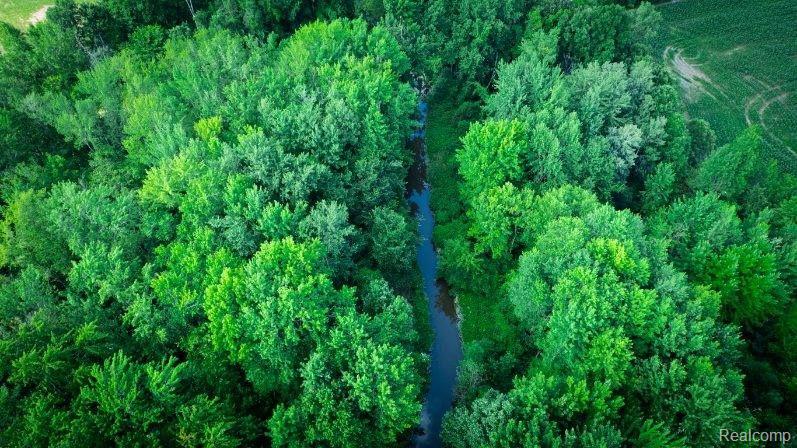 0 Kinney Road Emmett, MI 48022 - Photo 2 of 16