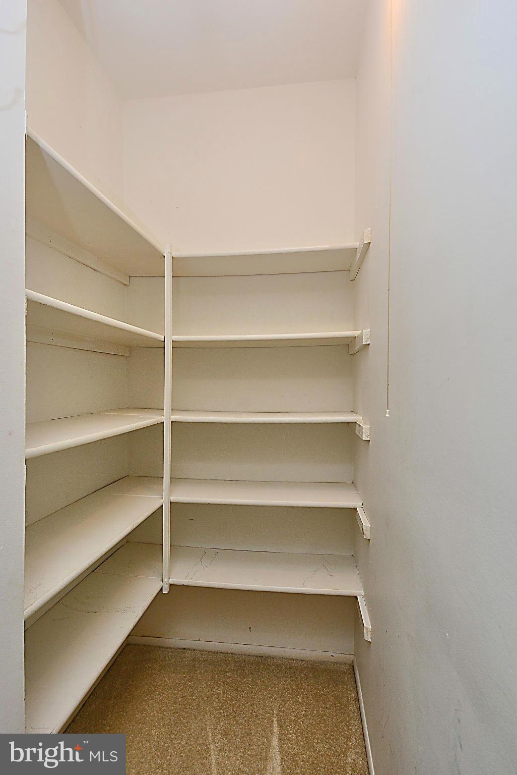 2230 White Cornus Lane Reston, VA 20191 - Photo 24 of 28 Upper level linen closet