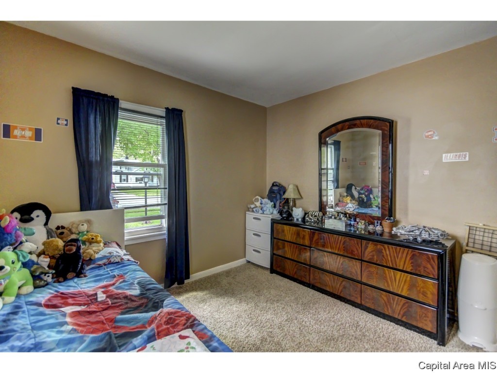 2536 South 5th Street Springfield, IL 62703 - Photo 20 of 36