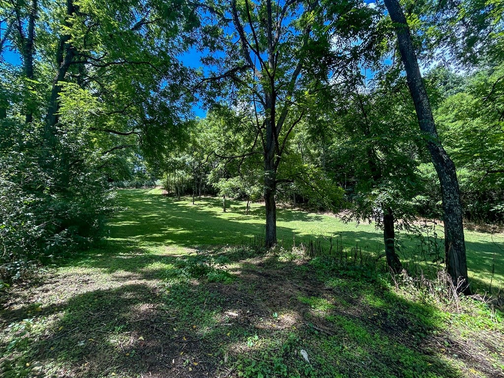 26-acres Tobler Road Rural Retreat, VA 24368 - Photo 38 of 60 Gallery Image 38
