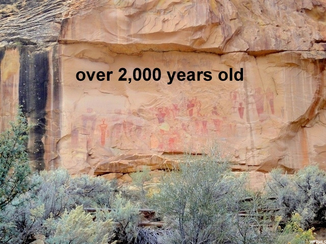 361 Thompson Cyn Road Thompson, UT 84540 - Photo 22 of 24 Usually found on flat rock surfaces.