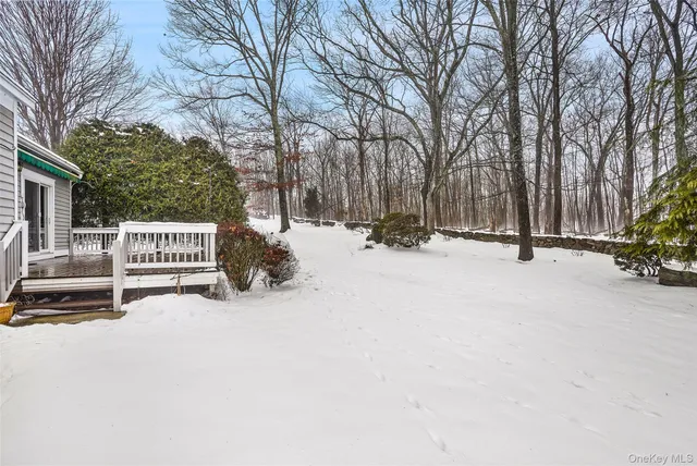 a view of backyard of house
