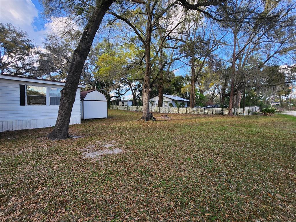 6091 Southeast 114th Street Road Belleview, FL 34420 - Photo 3 of 44 a view of a house with backyard and tree
