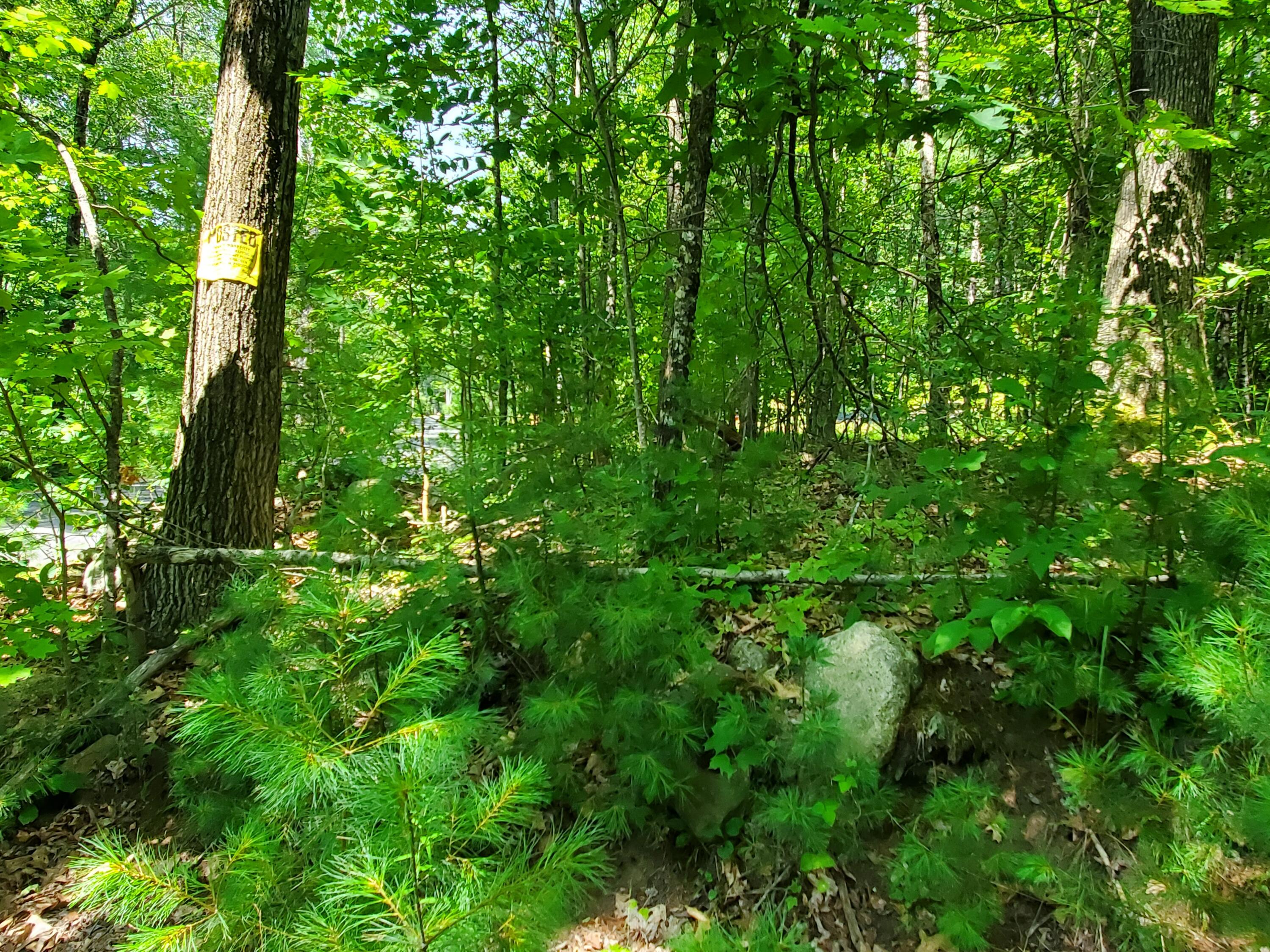 Lot 30 Middle Road Waterboro, ME 04087 - Photo 5 of 10 20250724_132351