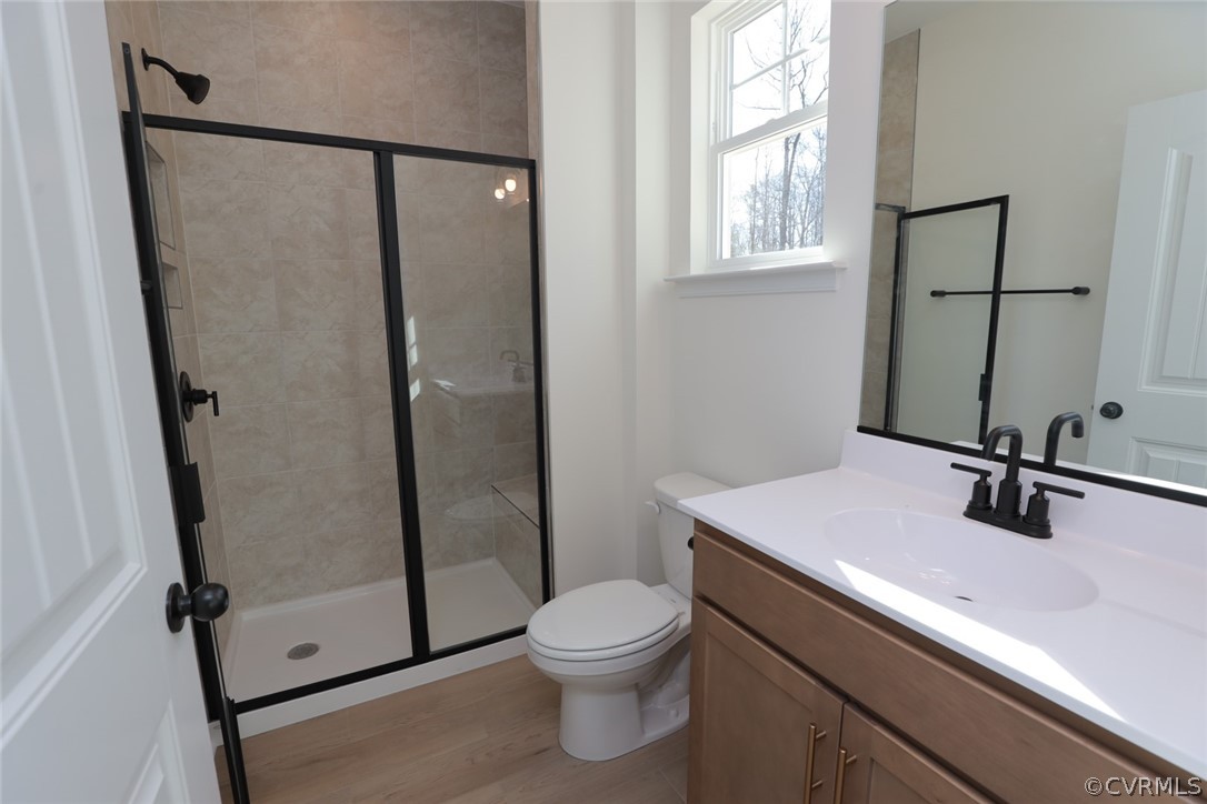 3825 Belspring Road Chester, VA 23831 - Photo 20 of 48 a bathroom with a sink a toilet a mirror and shower