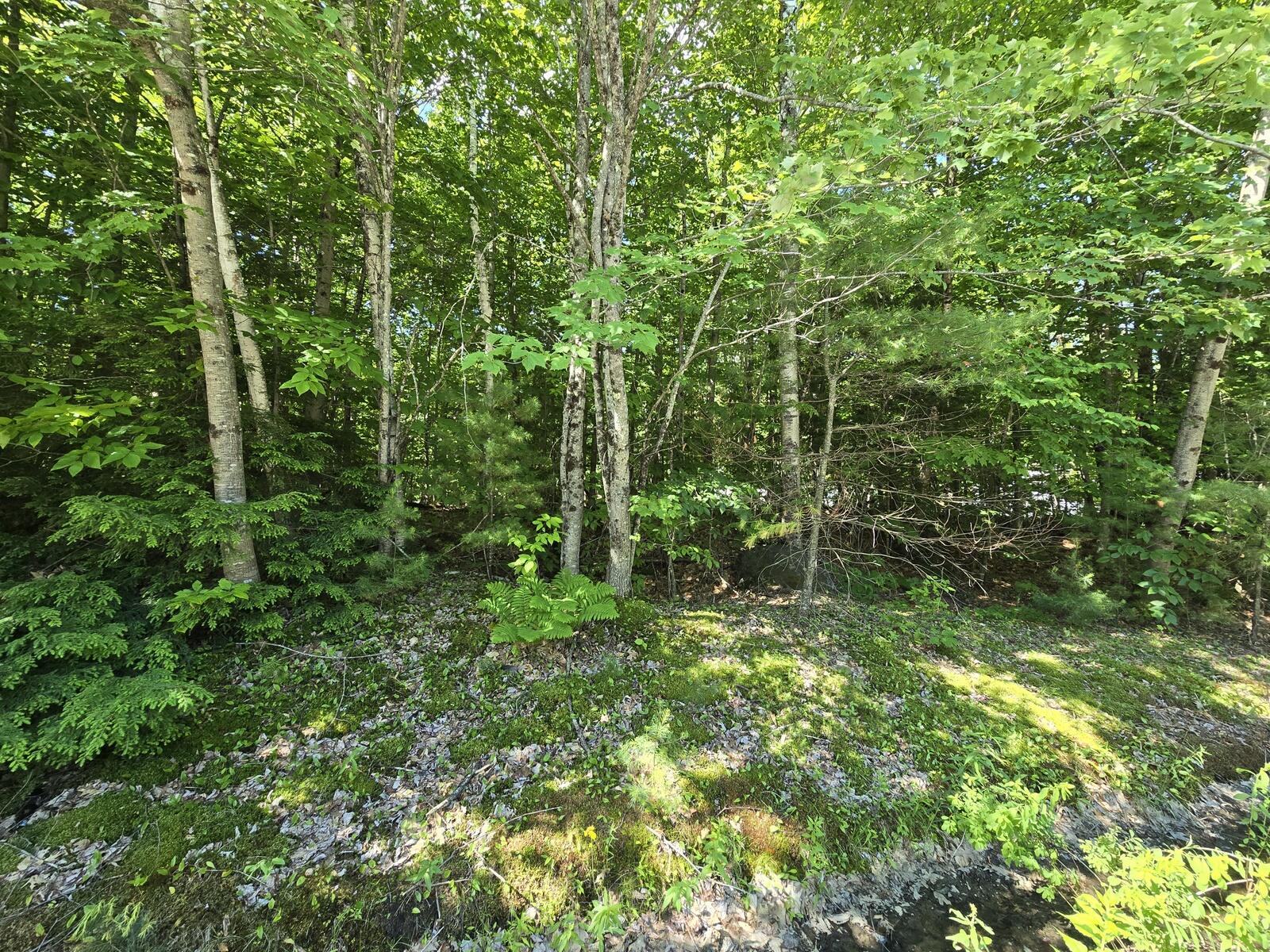 Lot 67 Temple Road Temple, ME 04984 - Photo 23 of 23 20260624_094339