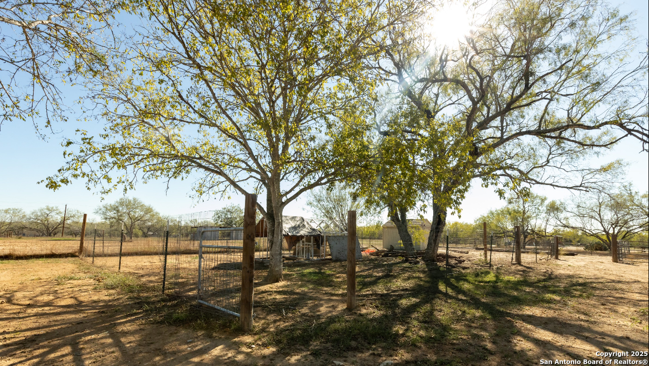 1510 Corgey Road Pleasanton, TX 78064 - Photo 25 of 34 a view of a large yard with large trees