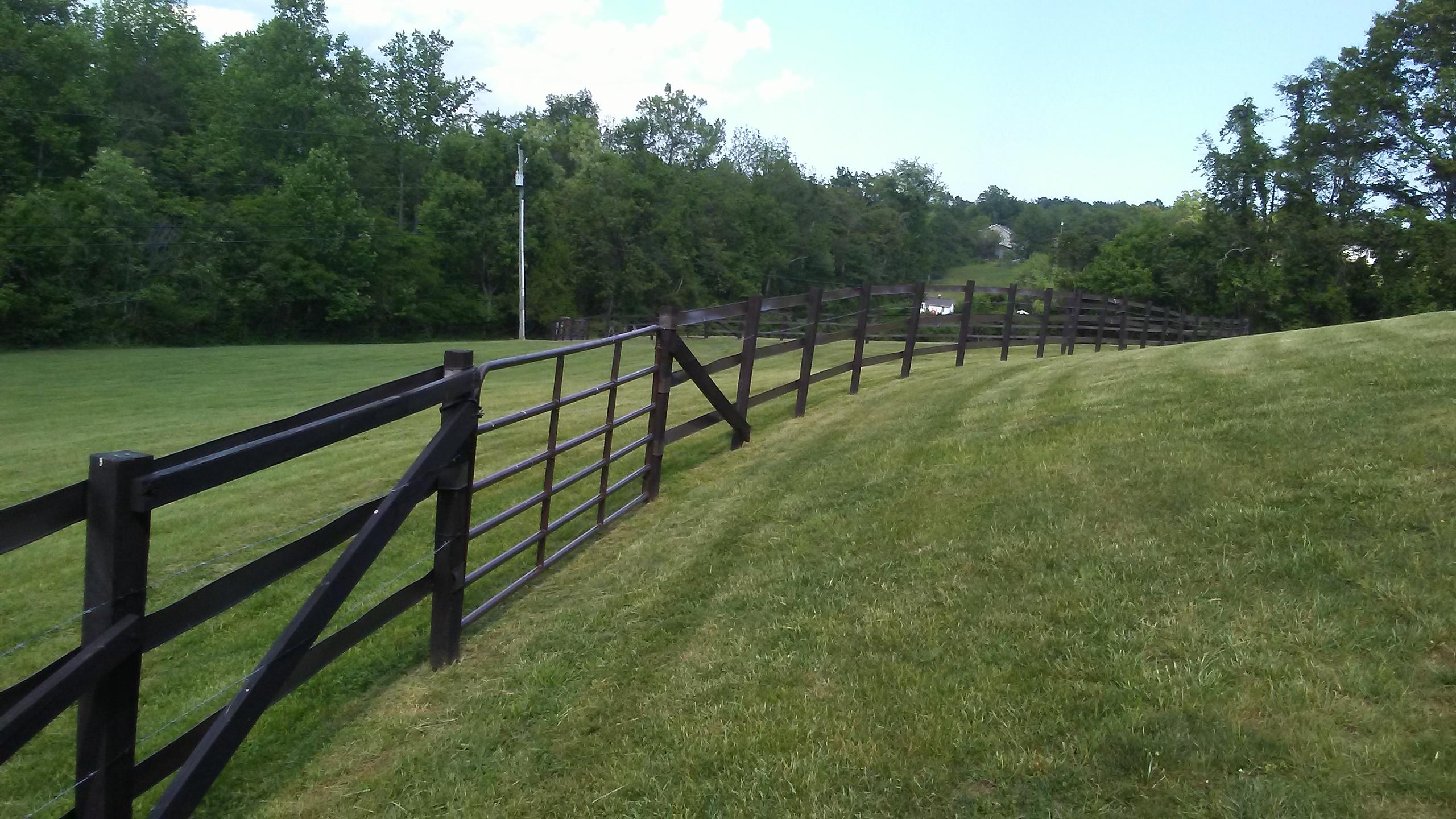 2288 Mountain View Church Road Blue Ridge, VA 24064 - Photo 44 of 75 BR3