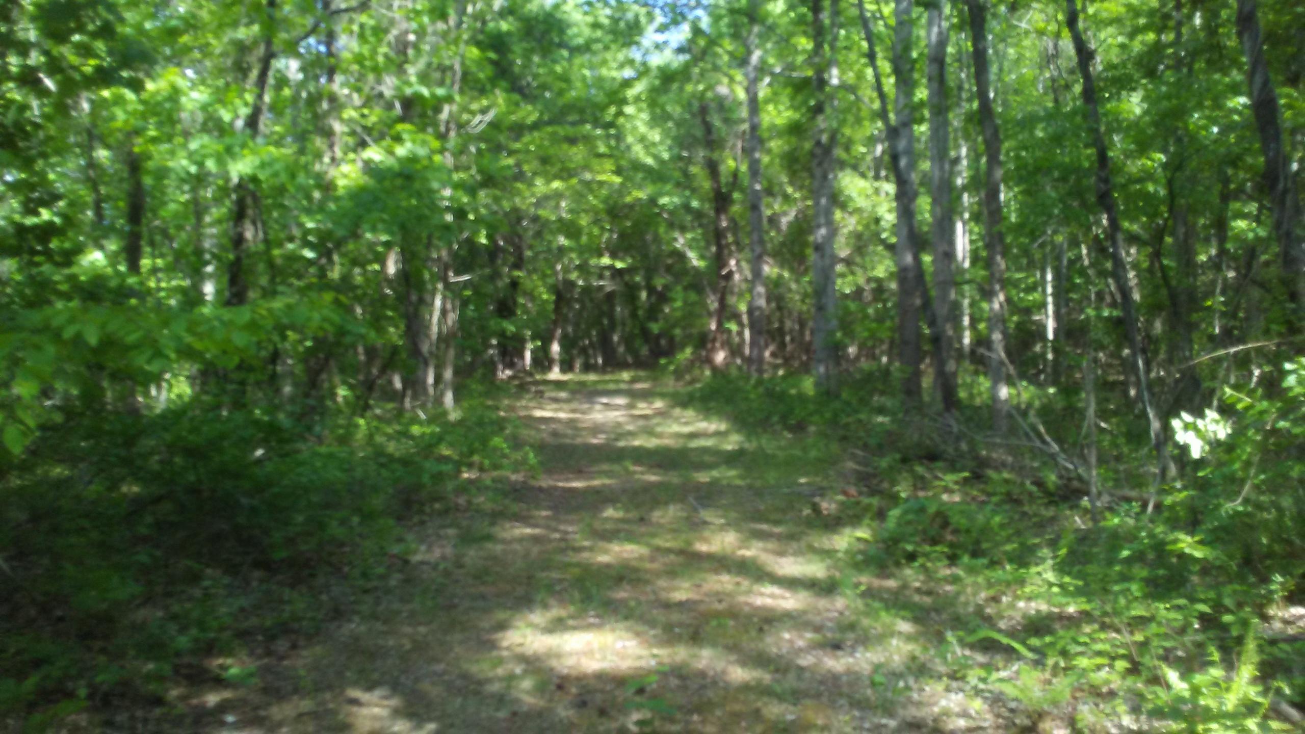 2288 Mountain View Church Road Blue Ridge, VA 24064 - Photo 46 of 75 BR8