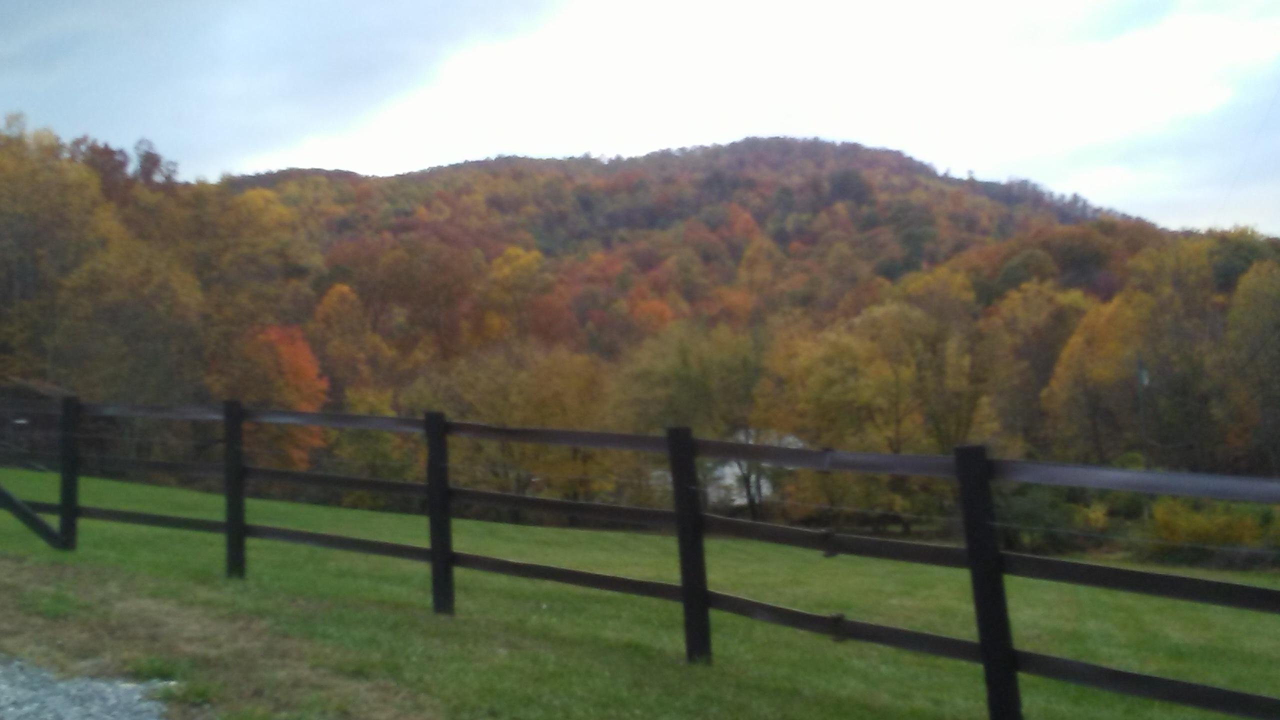 2288 Mountain View Church Road Blue Ridge, VA 24064 - Photo 50 of 75 BR16