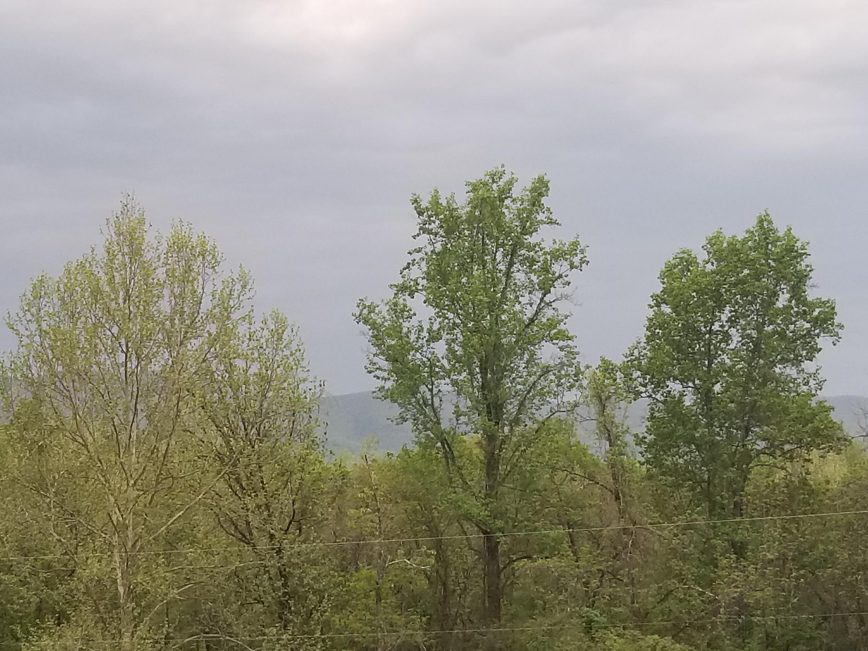 2288 Mountain View Church Road Blue Ridge, VA 24064 - Photo 53 of 75 20180504_194105