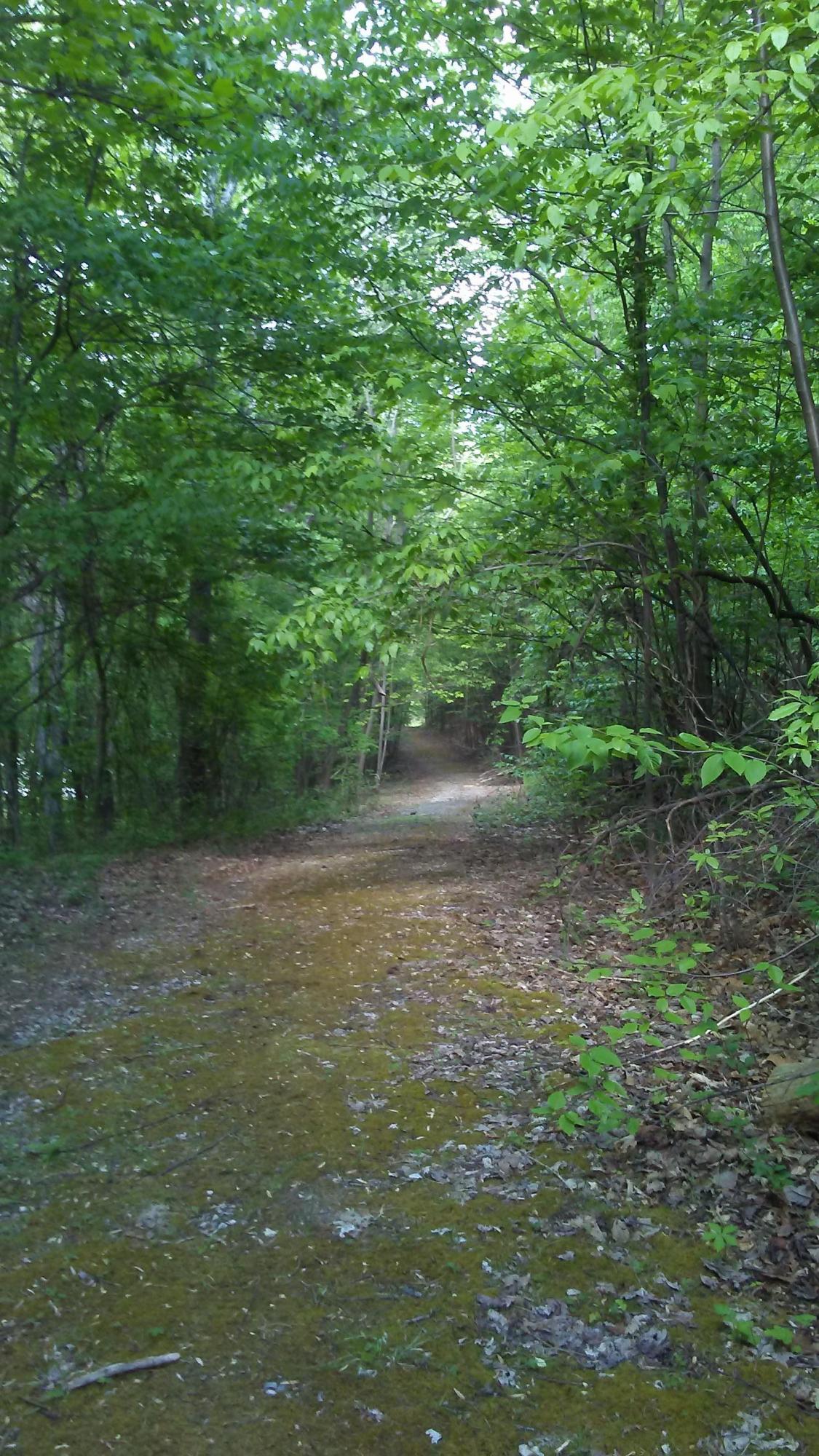 2288 Mountain View Church Road Blue Ridge, VA 24064 - Photo 71 of 75 BR9