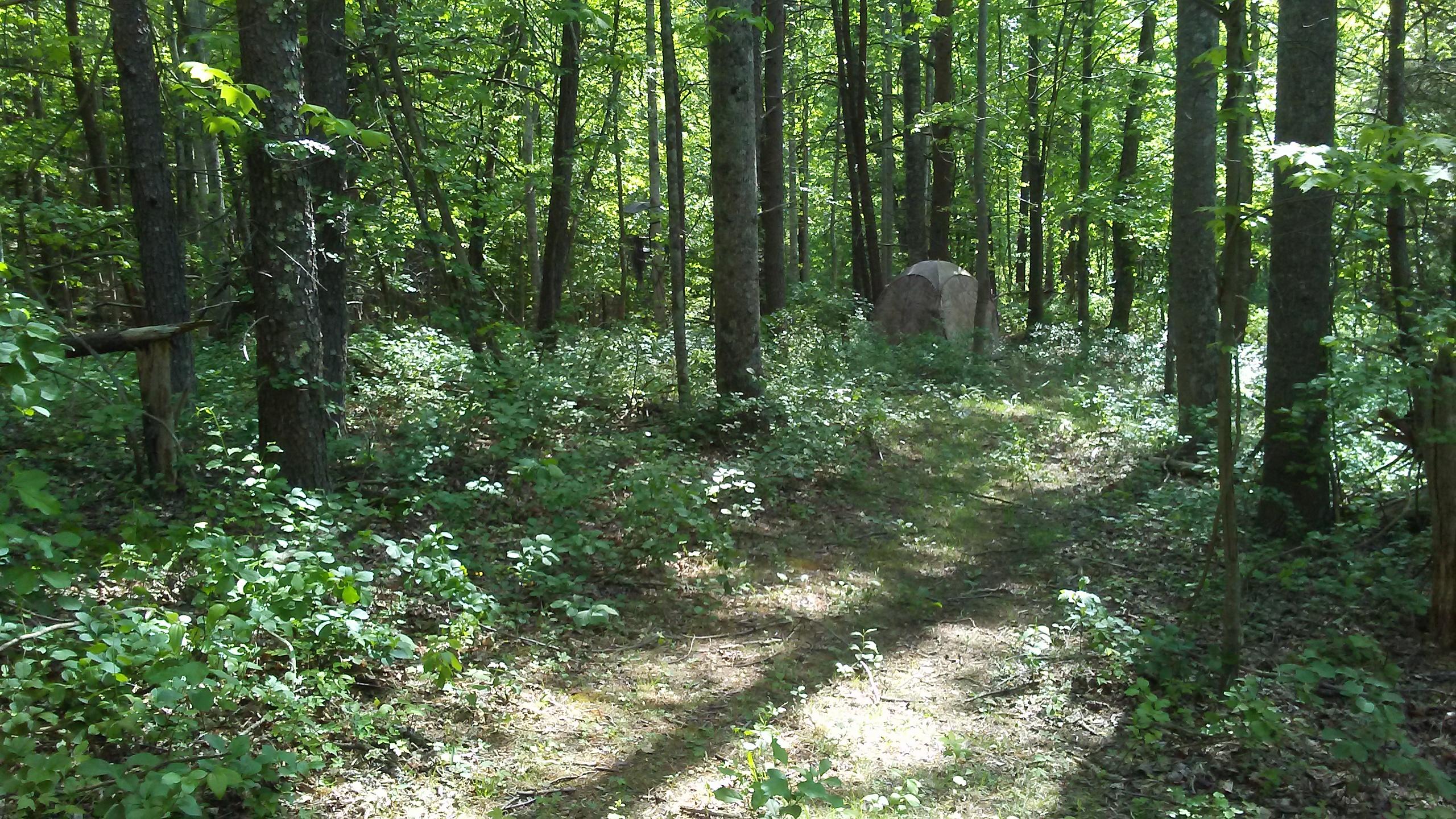 2288 Mountain View Church Road Blue Ridge, VA 24064 - Photo 72 of 75 BR12