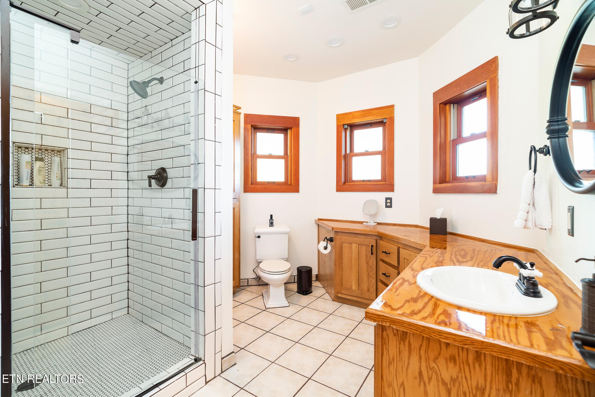 546 Bluff View Road New Tazewell, TN 37825 - Photo 32 of 60 a bathroom with a sink a toilet a mirror and shower